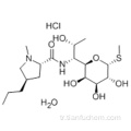 Lincomycin hidroklorür monohidrat CAS 7179-49-9